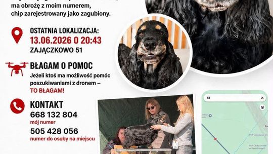 "Ona jest moim całym życiem”. W domu czeka jej synek... Błagamy o pomoc w odnalezieniu Abby