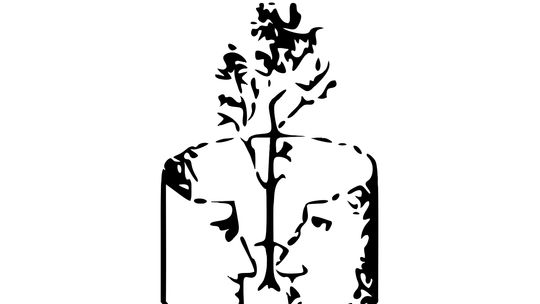 Opieka wytchnieniowa: pozyskano ponad 420 tysięcy złotych