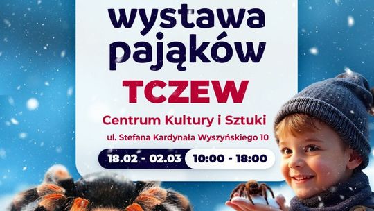 Pająki i skorpiony powracają do Tczewa