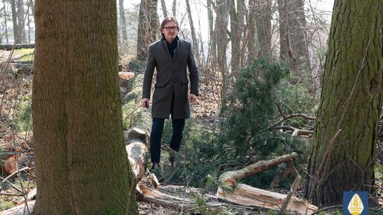 Pelplin: Dzięki rewitalizacji lasek przy ul. Pólko zyska nowe oblicze 