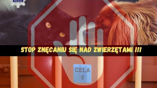 Starogard Gdański: policjanci zatrzymali 40-latka. Znęcał się nad psem