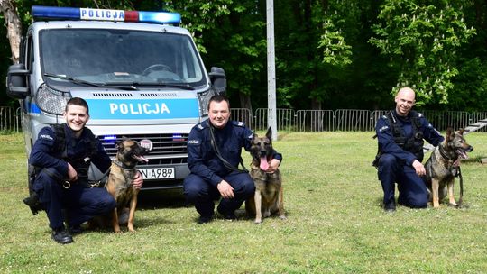 Pieskie życie czyli o czworonogach w policji