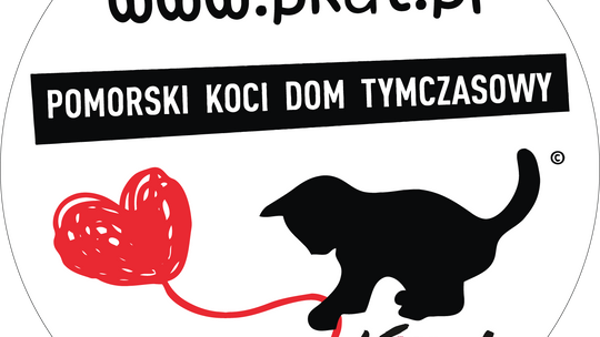 PILNE! Potrzebna pomoc dla bezpańskich kotów ze Swarożyna