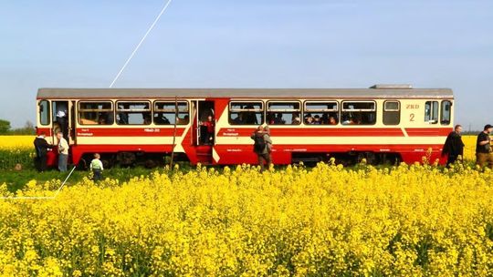 Planowana rewitalizacja Żuławskiej Kolei Dojazdowej przechodzi do fazy projektu!