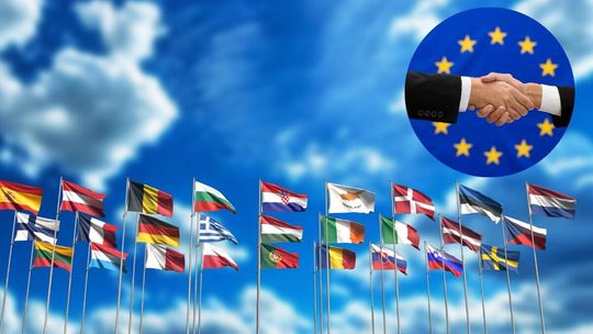 Polacy o polexicie. Najnowszy sondaż nie pozostawia złudzeń