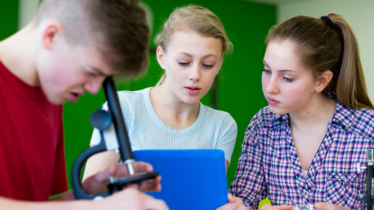 Polacy wśród najlepszych na świecie. Z matematyki i przyrody