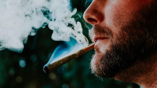 Polacy znów ustawili się w kolejkach po marihuanę medyczną