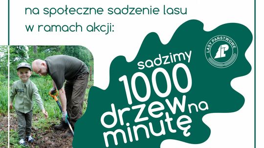 Pomóż posadzić las w Rokitkach