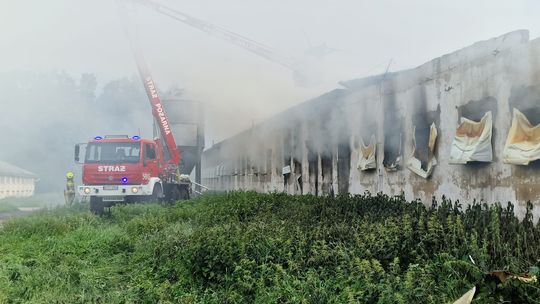 Pożar w Kulicach. Na miejscu pracowało 11 zastępów straży pożarnej