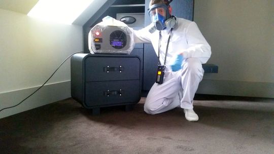 Problem z gryzoniami – jak wybrać firmę deratyzacyjną Wrocław?