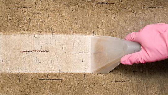 Profesjonalne czyszczenie dywanów na terenie Trójmiasta