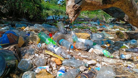 Przed nami kolejna edycja Akcji Czysta Wisła