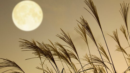 Przed nami sierpniowa pełnia Księżyca. Sprawdź kiedy