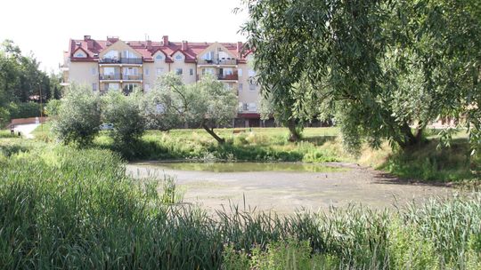 Przetarg na zagospodarowanie terenu przy zbiorniku retencyjnym na Piotrowie Przetarg na zagospodarowanie terenu przy zbiorniku retencyjnym na Piotrowie