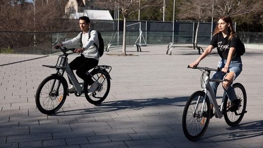 Rajd rowerowy po malowniczych żuławach