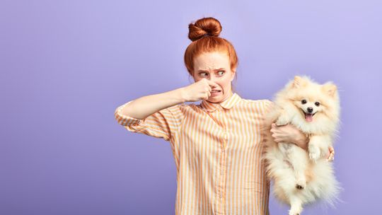 Ratunku! Pies puszcza bąki