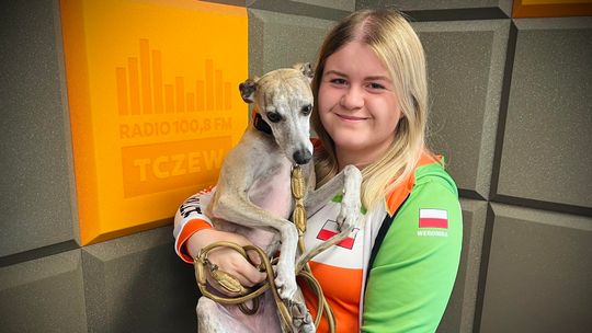 Psie sztafety wracają do Tczewa! VIII Ogólnopolskie Zawody Flyball już w ten weekend [ROZMOWA]