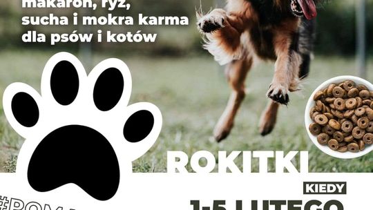 Rokitki: Zbiórka żywności dla zwierząt z tczewskiego schroniska