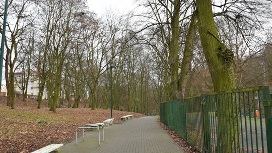 Rozpoczynają się prace w Parku Miejskim. Najpierw rewolucja pod ziemią, potem nowa oblicze alejek