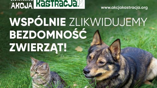 Rusza III edycja "Akcji Kastracja!". Fundacja dopłaca gminom do zabiegów