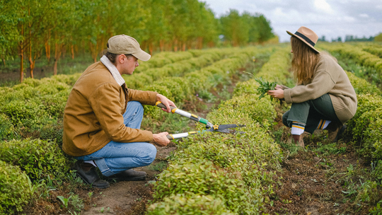 Saksy to już nie to. Dziś w Polsce zarobimy prawie tyle samo