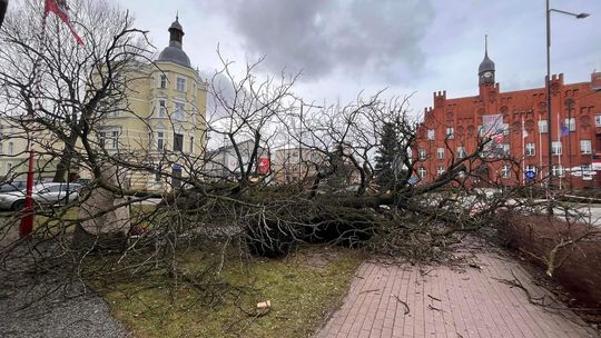 Skutki wichury na Pomorzu. Tczewscy strażacy interweniowali już blisko 60 razy [AKTUALIZACJA]