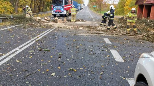 Skutki wichury w powiecie tczewskim. Blisko 70 interwencji straży pożarnej [ZDJĘCIA]