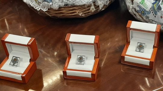 "Srebrne Drzewko 2021" - zgłoś osobę, która aktywnie pomaga i integruje