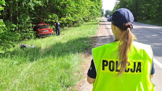Starogard Gdański: Zderzenie samochodu z łosiem na DK 22