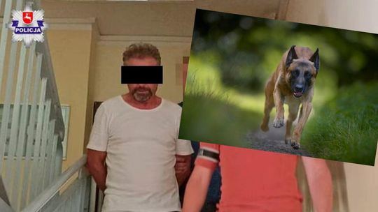 Straszna śmierć. Skazany za to, że owczarki belgijskie zagryzły rowerzystę