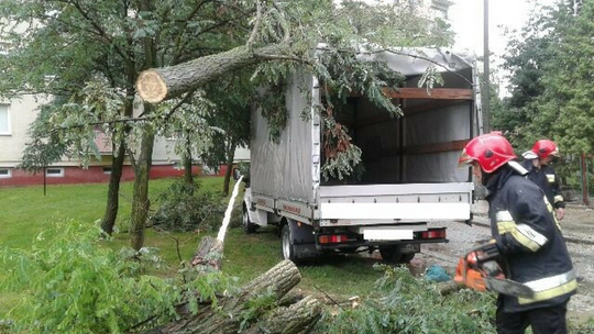 Straż pożarna: Drzewo spadło na samochód przy ulicy Jagiełły, a w Damaszce zgłoszono pożaru lasu