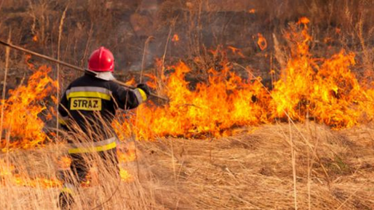 Strażacy apelują o rozsądek! Wypalanie traw jest bardzo niebezpieczne oraz karalne