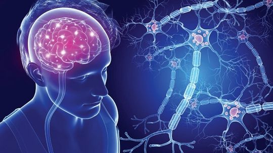 Stwardnienie rozsiane i toczeń - objawy, leczenie