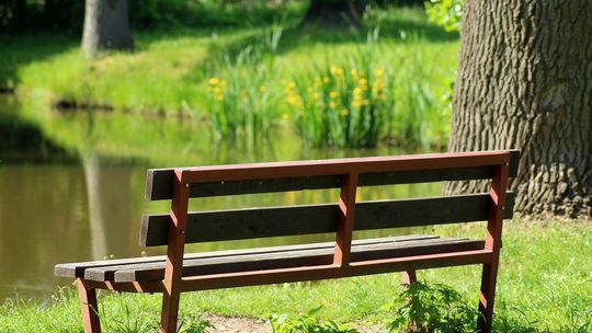 Stwórz miniogród na swoim osiedlu! Ruszyła 8. edycja projektu "Zielona Ławeczka"