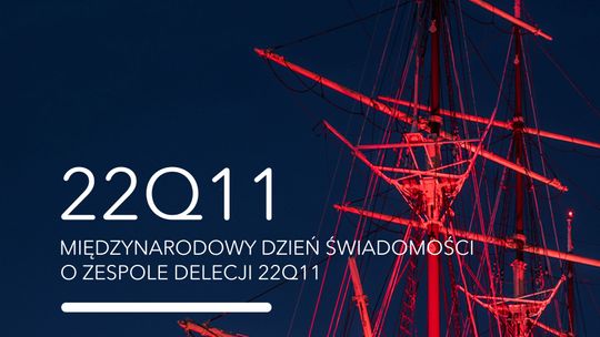 Tczew: Centrum Konserwacji Wraków Statków rozświetli kolor czerwony. To symboliczny gest