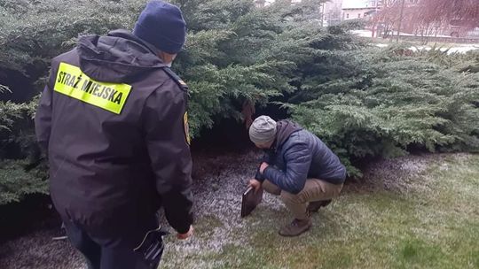 Tczew: Zwłoki bezdomnego mężczyzny pod wiaduktem na Wojska Polskiego