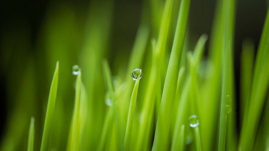 Tczewskie nieruchomości w II etapie konkursu Grunt na Medal 2025