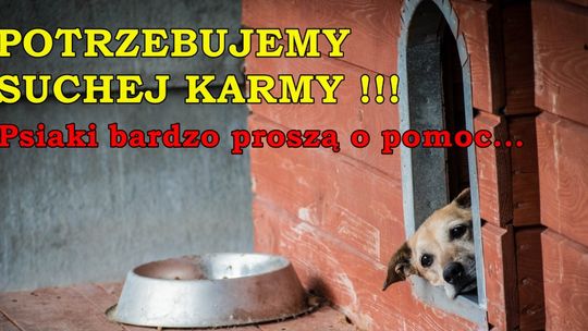 Trwa zbiórka suchej karmy dla schroniskowych psów