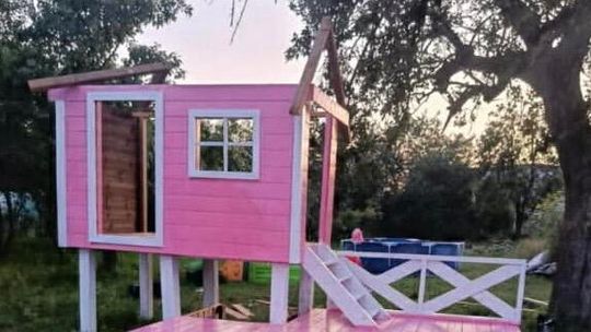 Ukradł dom sąsiadowi. Posłużył mu za opał