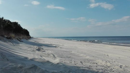 Urlop nad Bałtykiem? Sprawdź, które kąpieliska zamknięto przez sinice! 