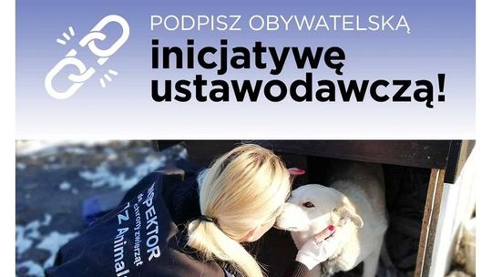 Uwolnijmy psy z łańcuchów! Potrzeba 100 000 podpisów