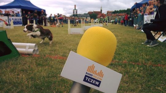 V Ogólnopolskie Zawody Flyball już 11 i 12 czerwca w Tczewie