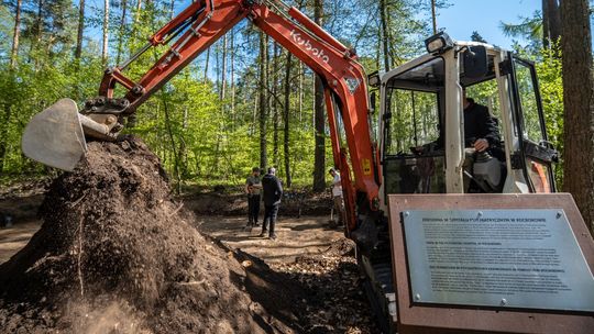 W Lesie Szpęgawskim odnaleziono zbiorową mogiłę z czasów wojny