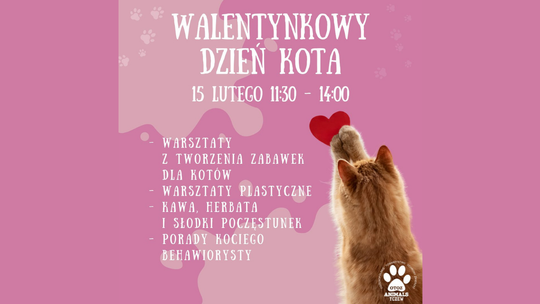 Walentynkowy Dzień Kota w OTOZ Animals Tczew