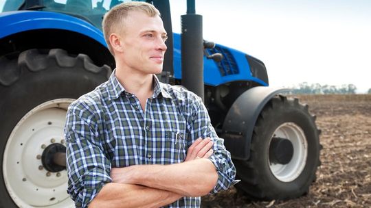 Wapno nawozowe – klucz do odbudowy żyzności gleby i stabilnych plonów