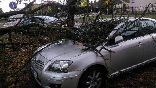 Wichura w pomorskiem daje się we znaki