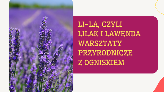 Wiosenna edycja Kultury w sąsiedztwie [NOWA DATA]