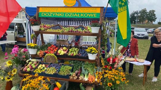 Wkrótce kolejne Dożynki Działkowe. Co zaplanowano?