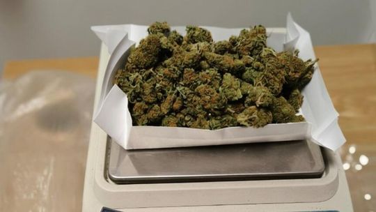 Wpadli przez kłótnię. Marihuana u braci w Starogardzie Gdańskim