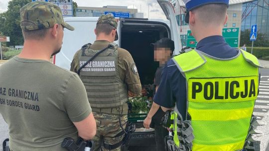 Wracają kontrole na granicy. To przez Niemców i patrole ludzi Bąkiewicza